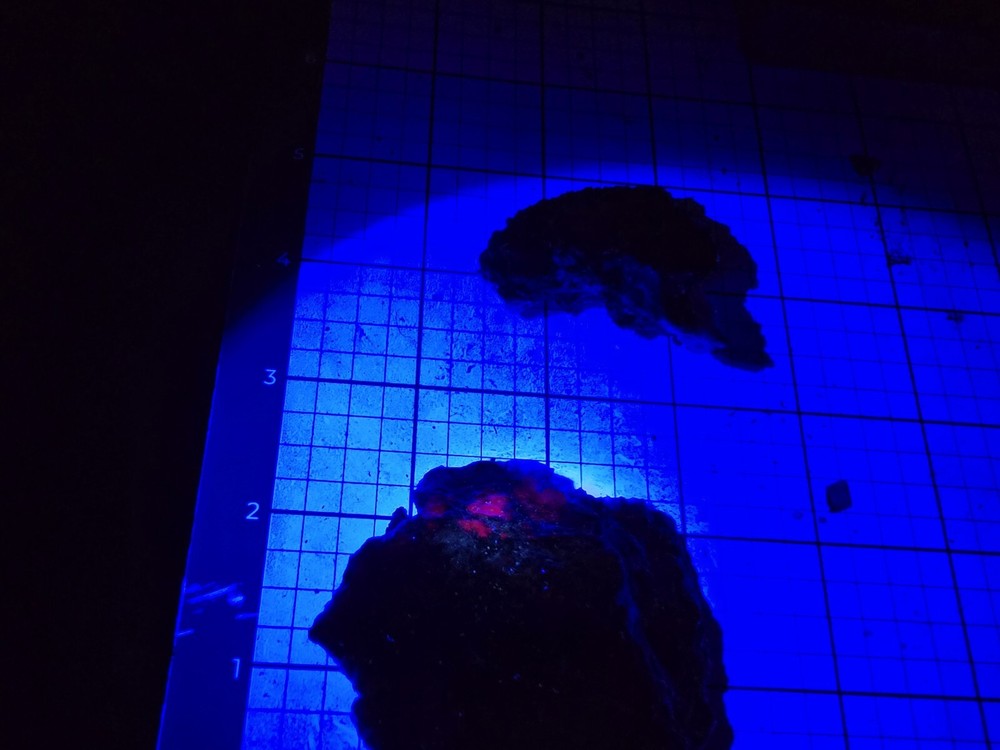 Uv Reactive Fluorite Malachite Specimen
