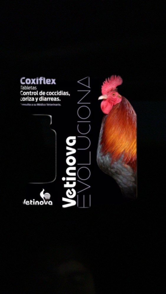 Vetinova, Coxiflex , 100 Tabletas