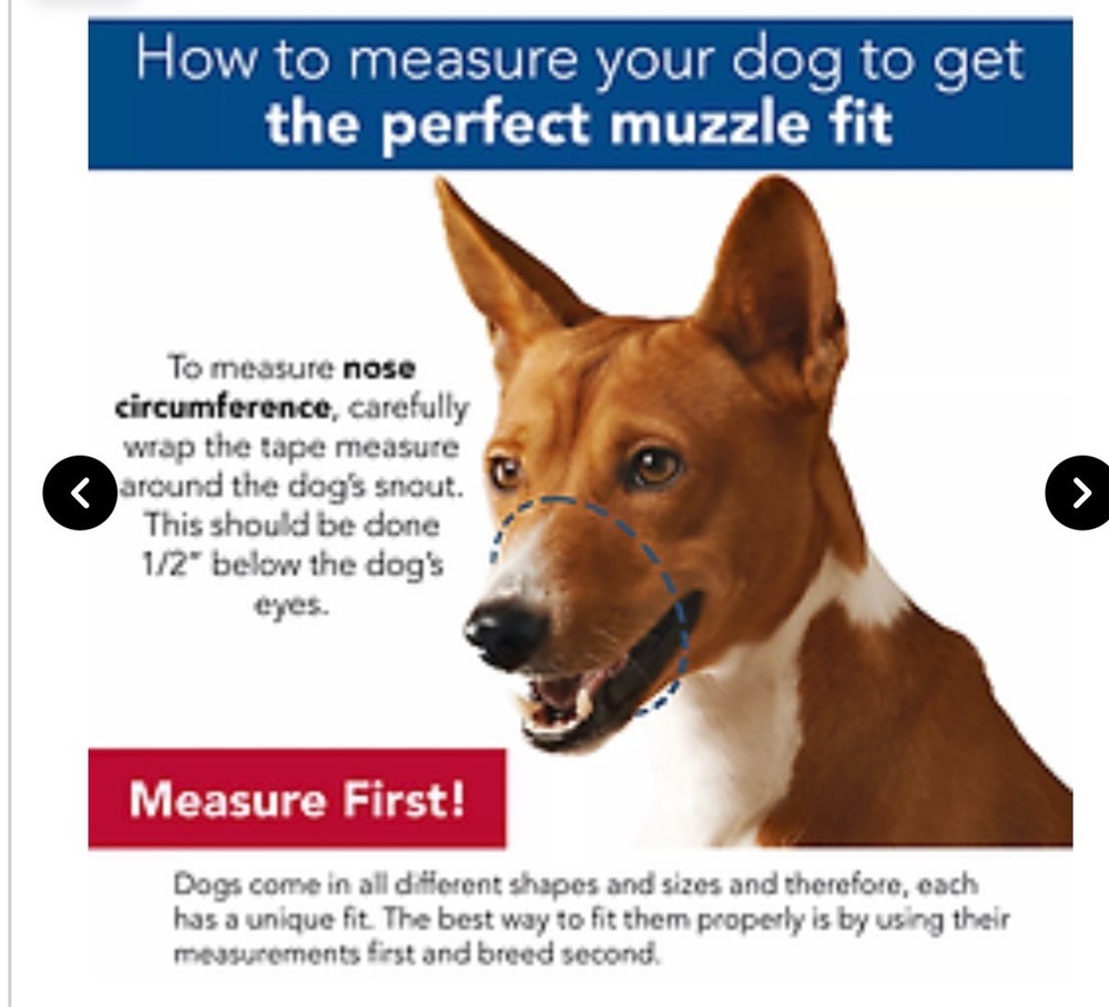 New Coastal Best Fit Adjustable Comfort Muzzle Size Medium Black