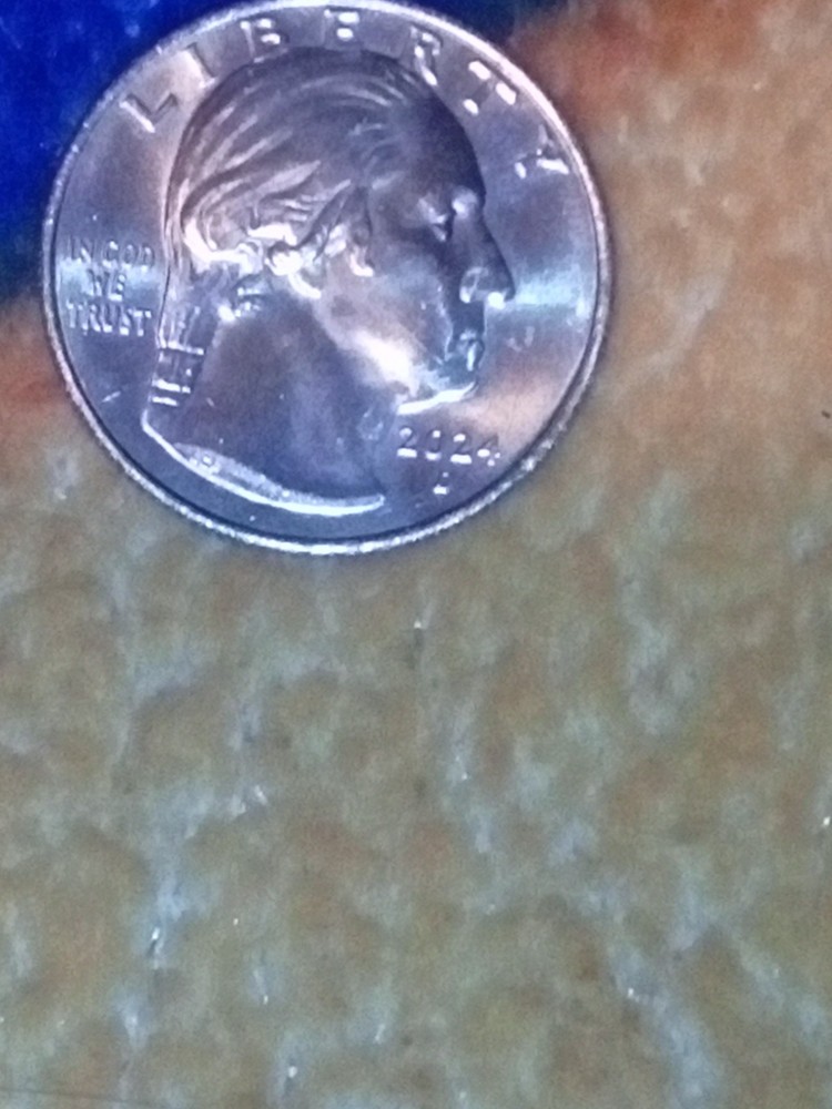 2024 d quarter in cod we trust