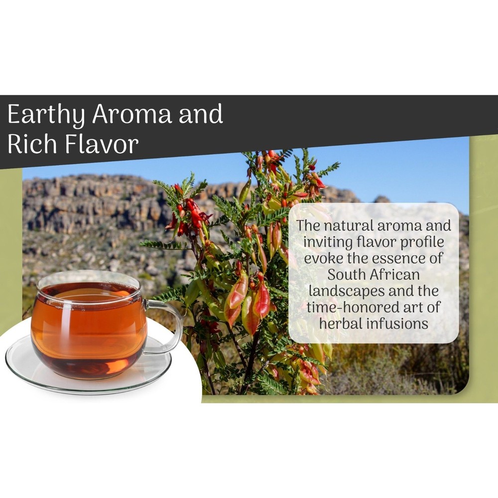 Sutherlandia frutescens Herbal Tea - Immune Support Metabolic Boost