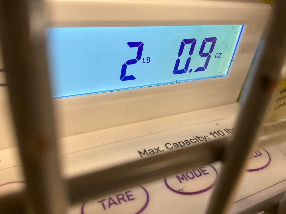 WREN camping Hatchet axe