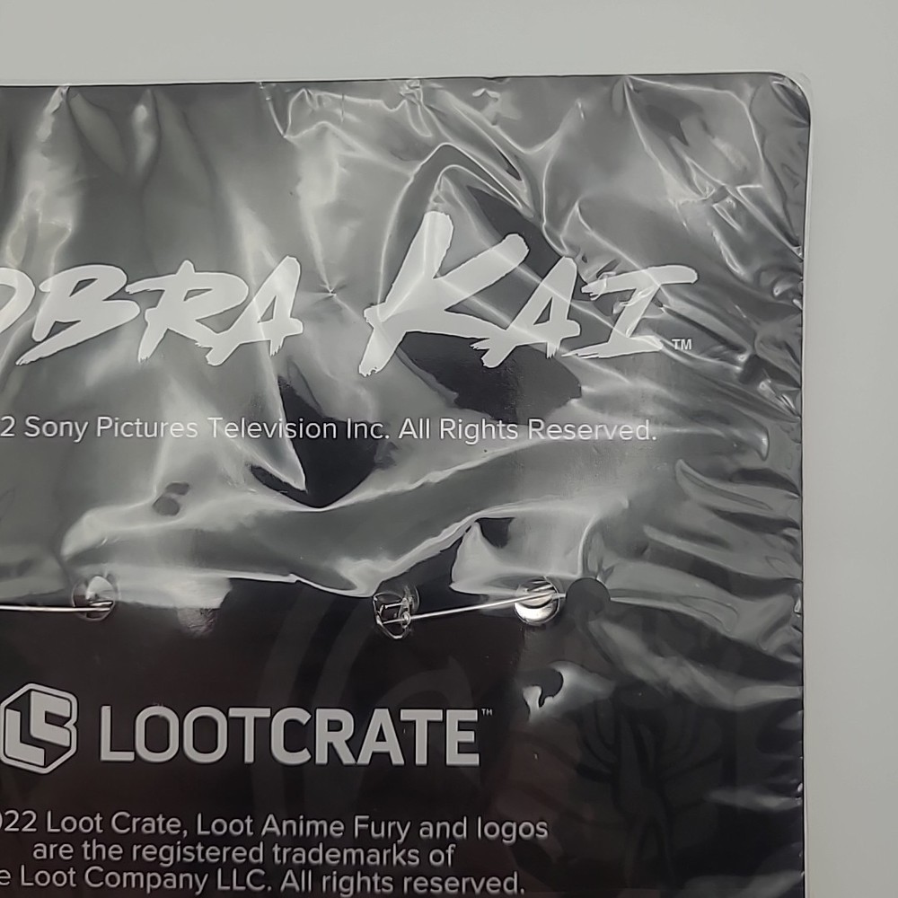 Cobra Kai Retro Button Set Lootcrate 2022