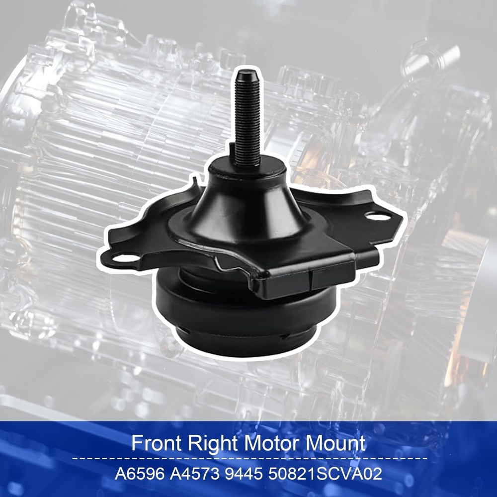 Full Set (5PCS) Engine Motor Mount Compatible with 2003-2006 Honda Element 2....