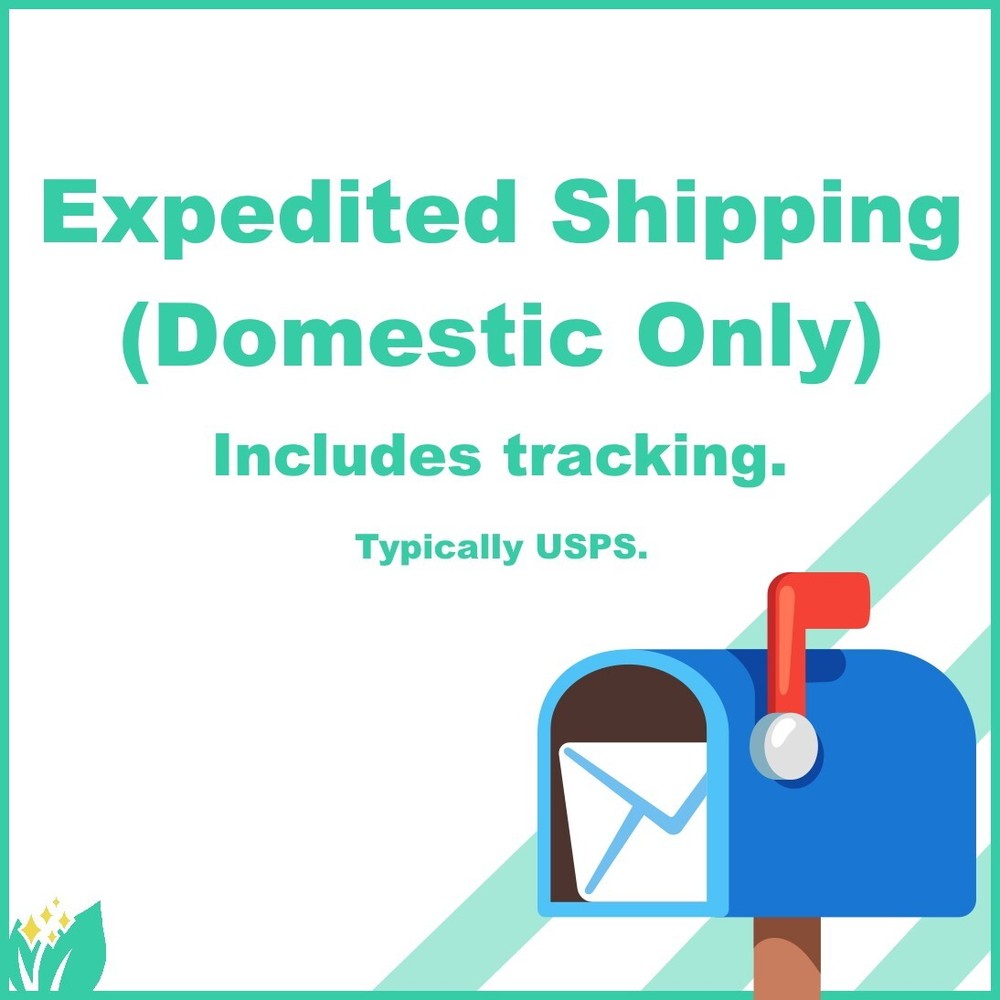 ! Expedited Shipping Option (Small Items)
