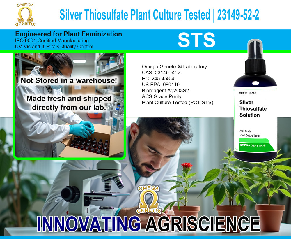 Silver Thiosulfate Solution 16 oz
