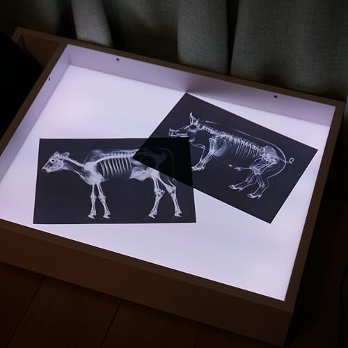 Animal X-Ray Set, Educational Science Kit, Light Table Accessory Farm Animals