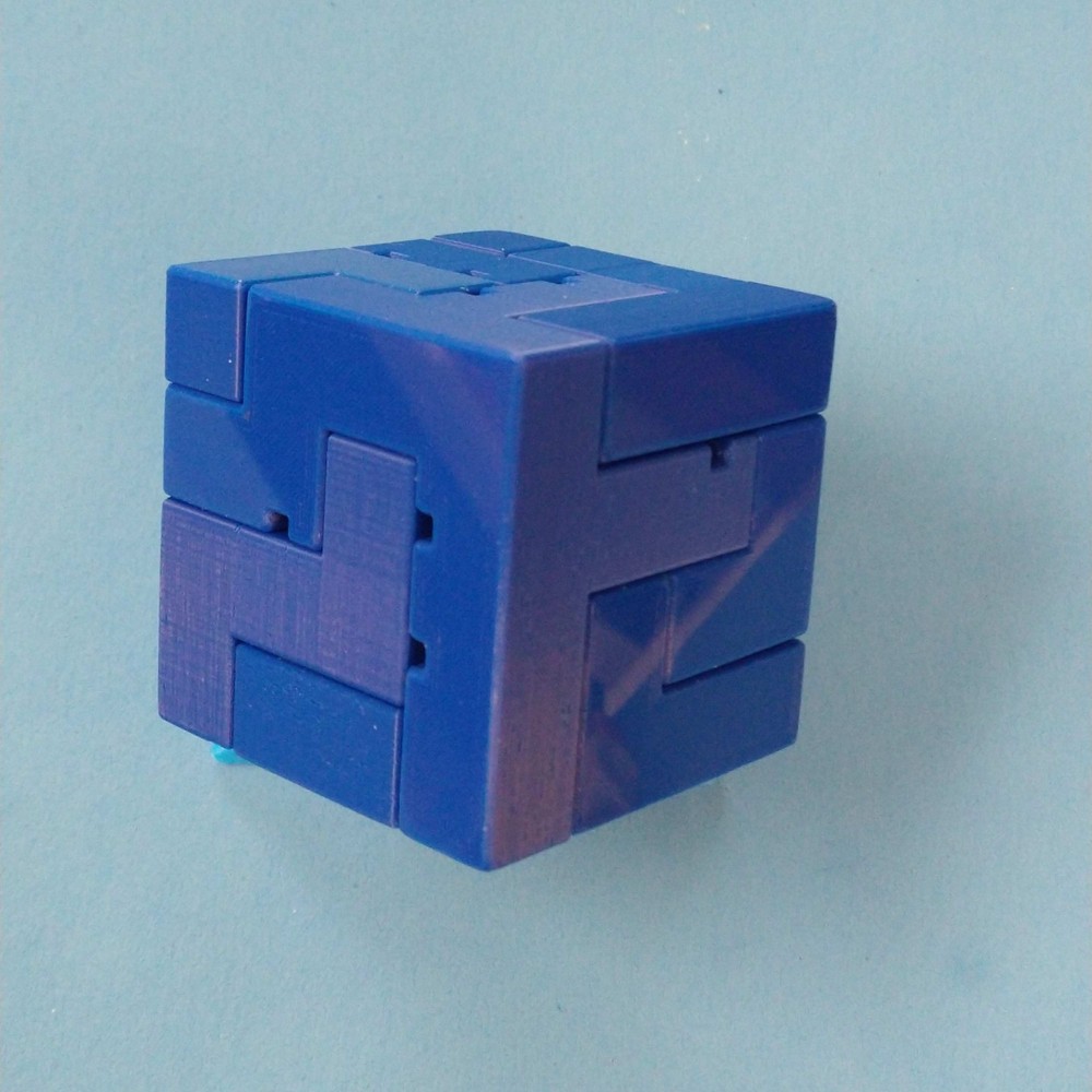 Proteus - Interlocking Assembly Maze Cube Puzzle