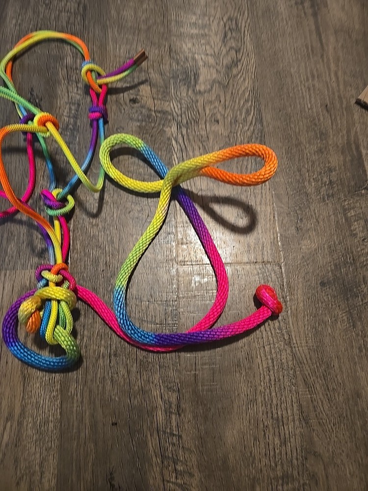 rope halter and lead