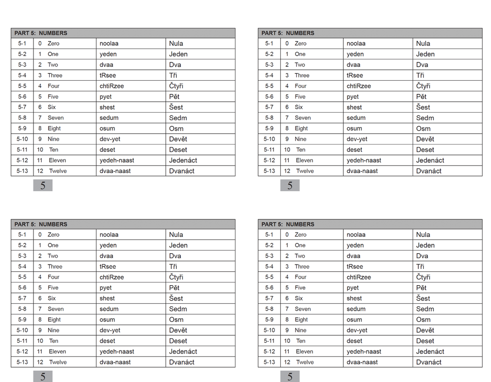 Defense Language Institute DLI BASIC CZECH Text & 600+ MP3 Audio CD