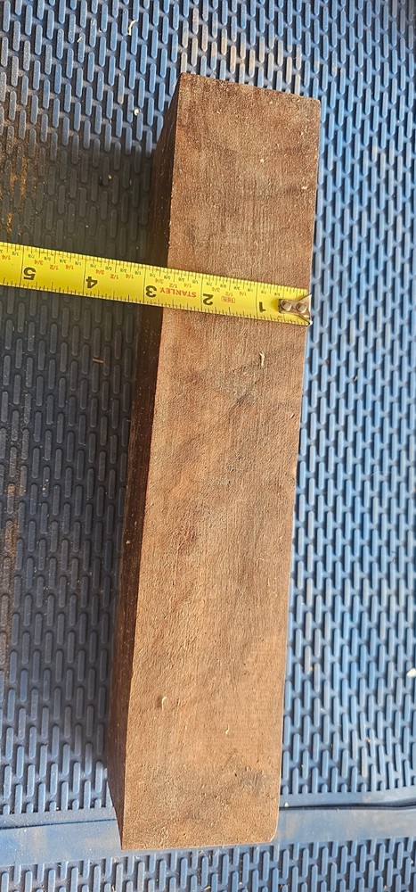 Curly Claro Walnut Burl Blank