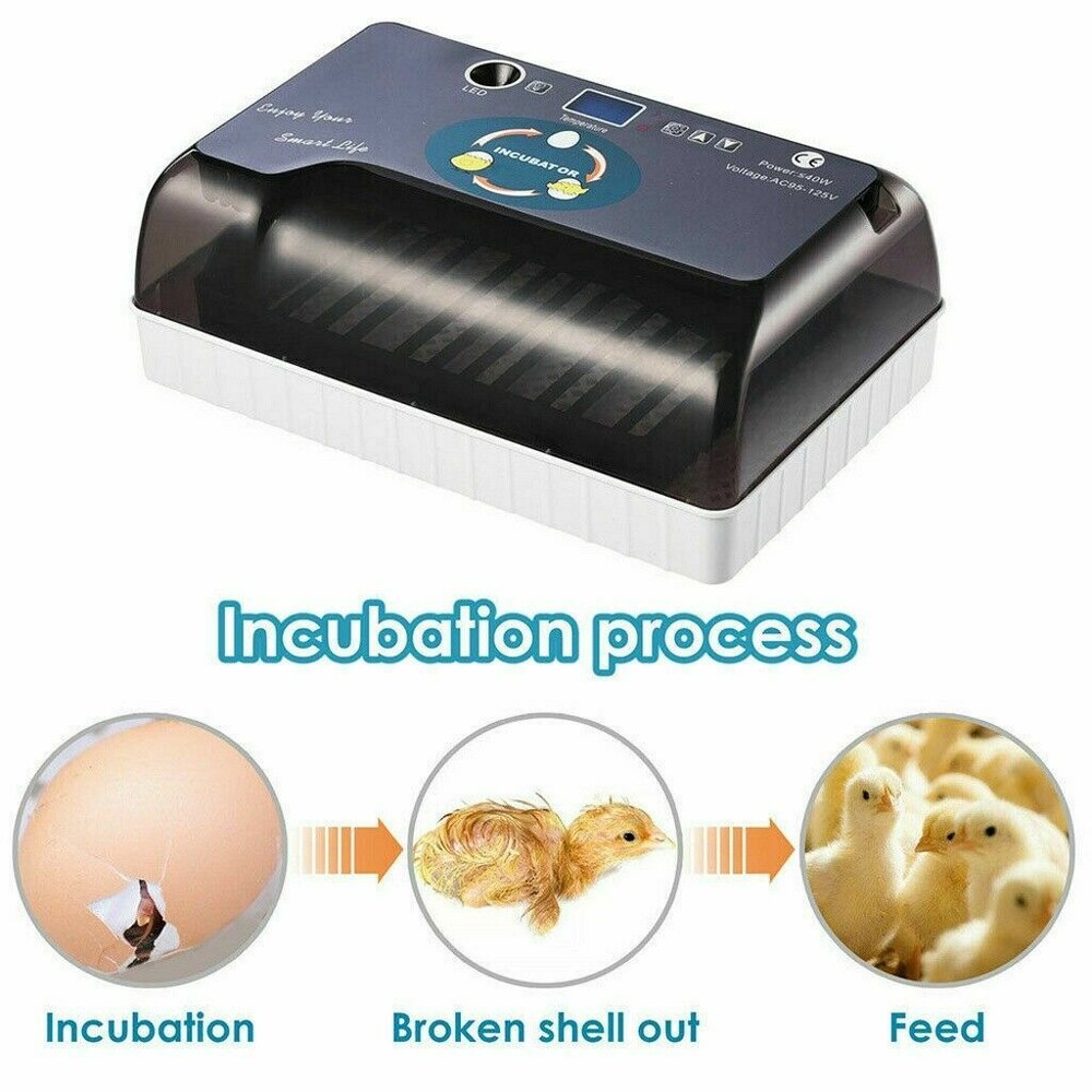 Automatic Egg Incubator for Hatching Eggs 12 Eggs Incubator Automatic Egg Turn