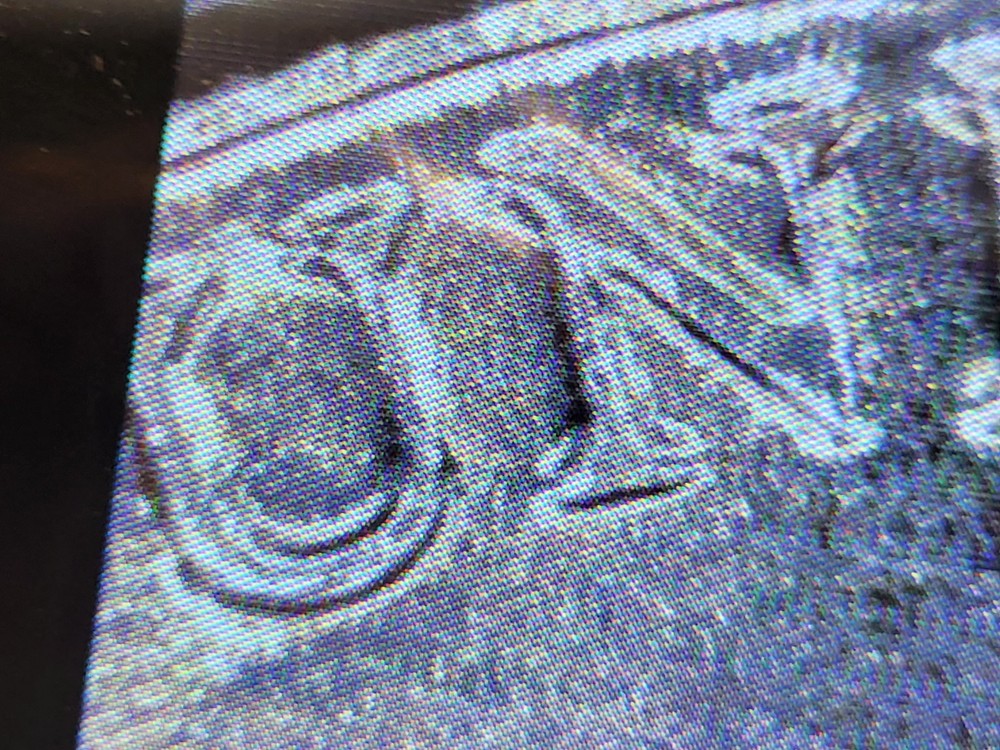 2023 D Lincoln Shield Cent, , which has a ( DDO/ DDR/EAR/TEAR ERROR