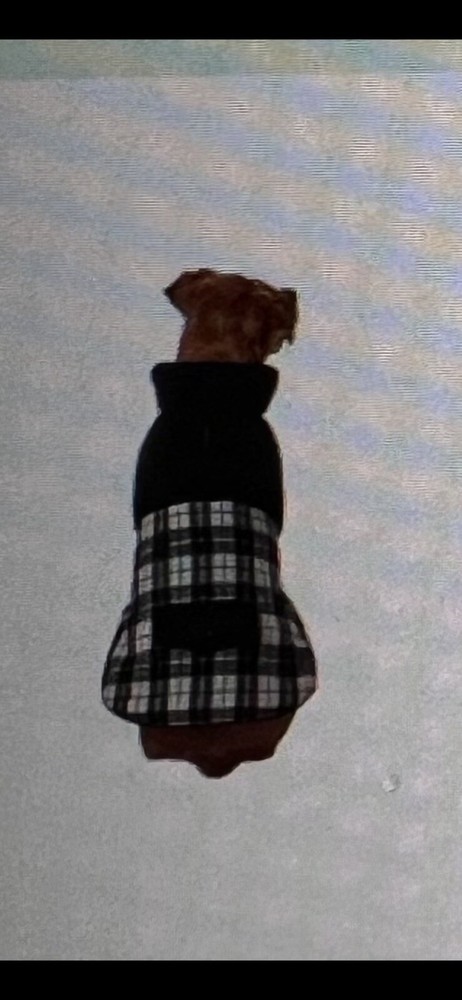NWT WINTER PET JACKET, BLACK & WHITE PLAID, SIZE LARGE, SOFT AND COMFY❤️