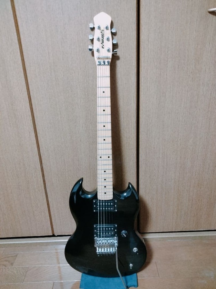 Edwards Electric Guitar Safe Packing!