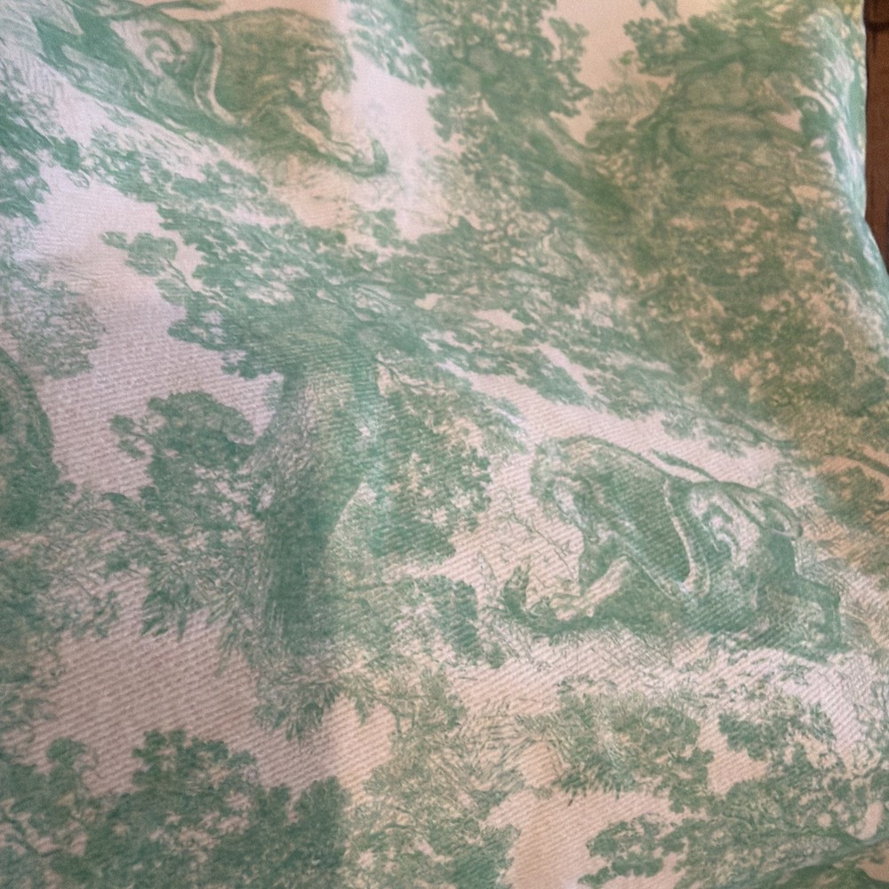 Authentic dior cavas special edition dust bag