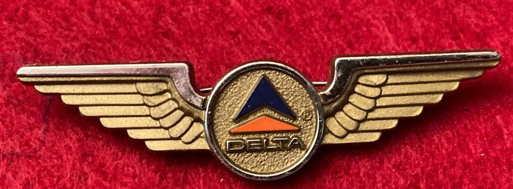 PILOT WINGS DELTA JUNIOR