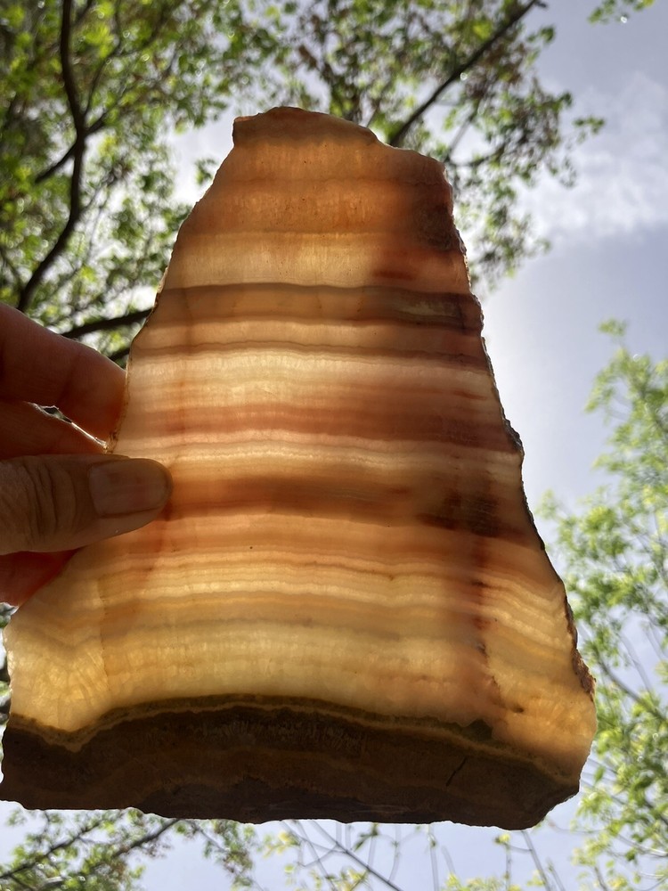 Honey Onyx Slab