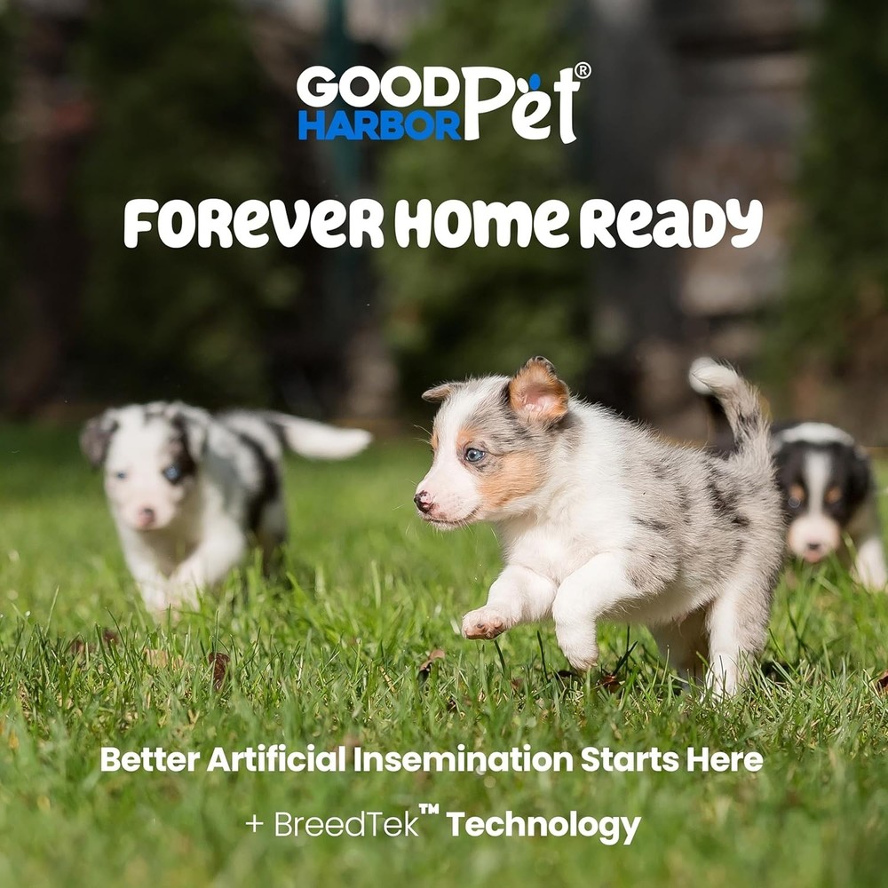 Canine Artificial Insemination Kit - 3 Pack, Medium & Large Breed Essentials