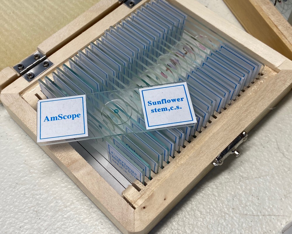 Amscope 49 PreparedMicroscope Slides In 2 Boxes