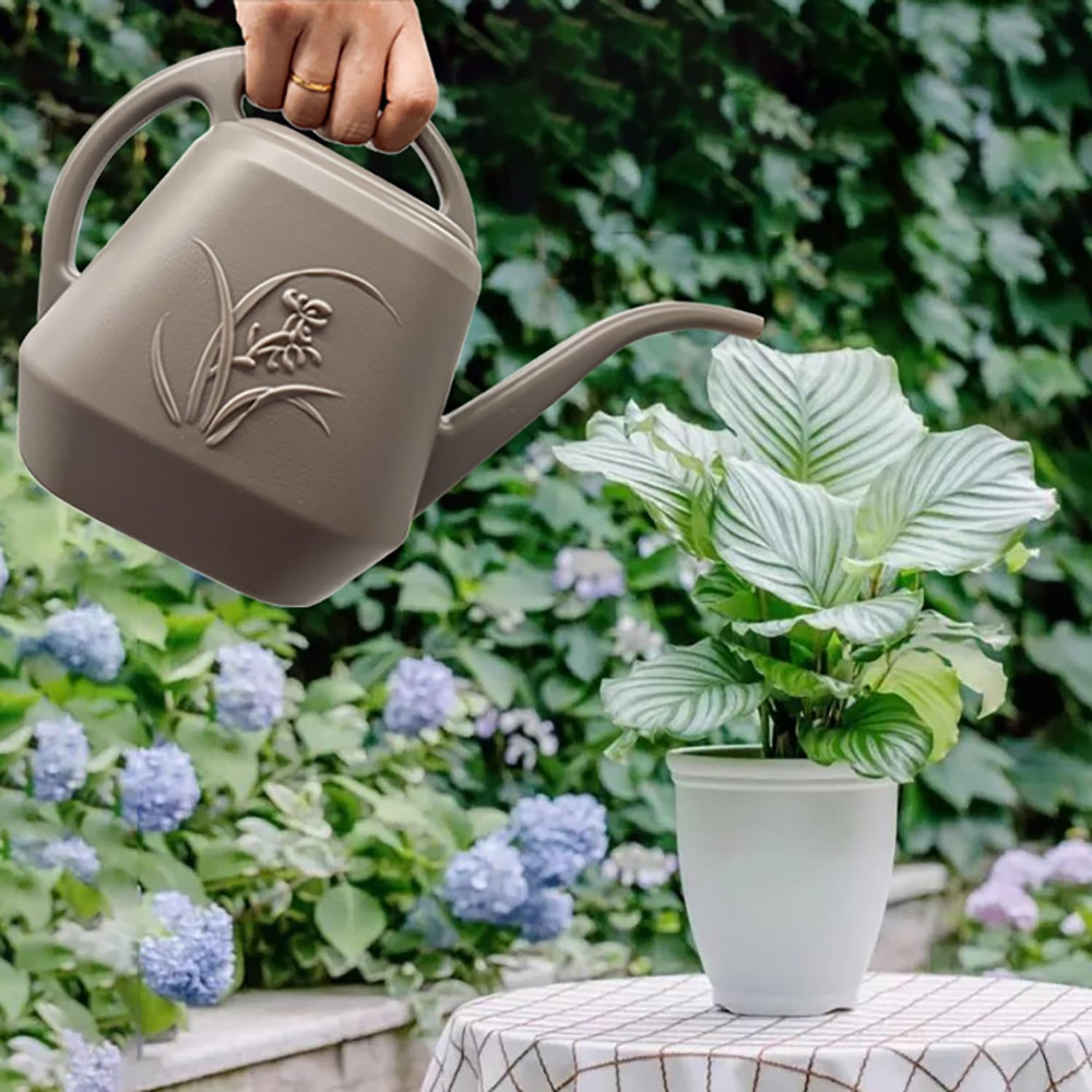 Plant Watering Can - 1/2 Gallon
