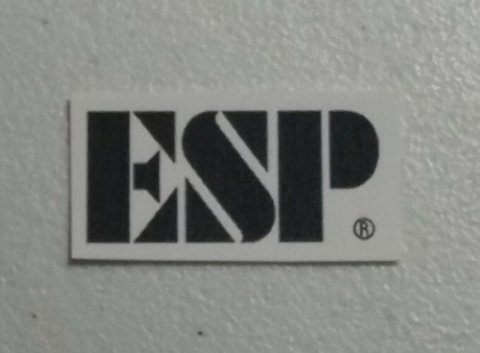 ESP Black Waterslide Headstock Decal