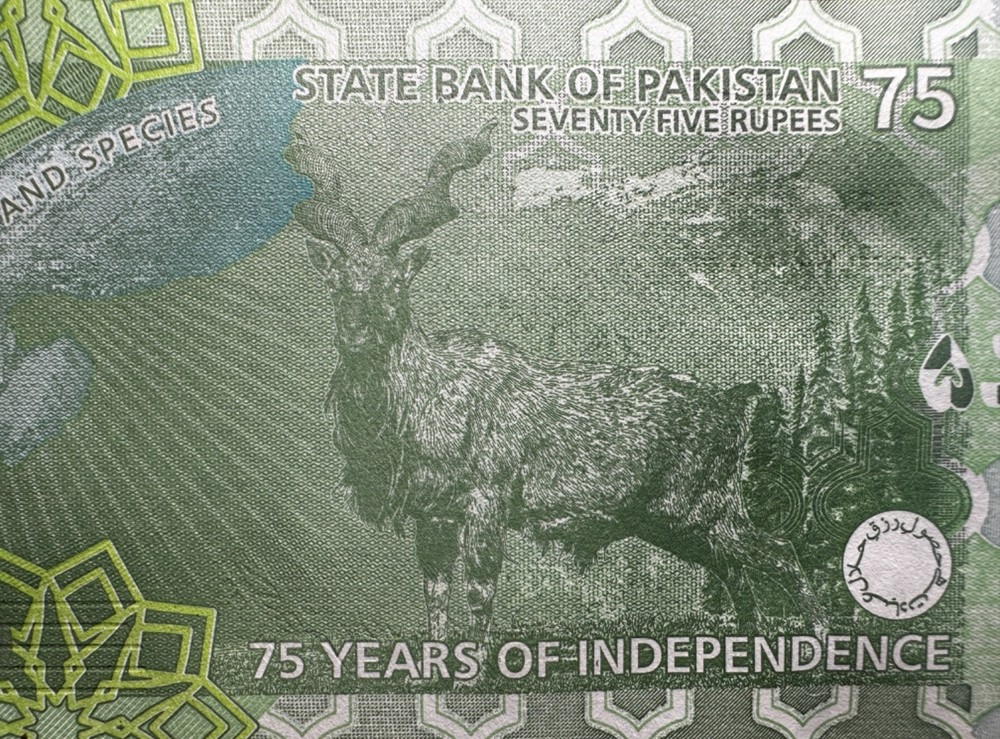 Pakistan 75 Rupees Commemorative Note UNC Condition