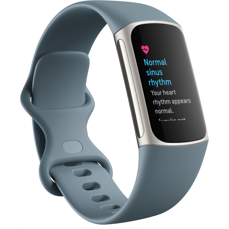 Fitbit Charge 5 Activity Tracker - Steel Blue/Platinum Stainless Steel-CR