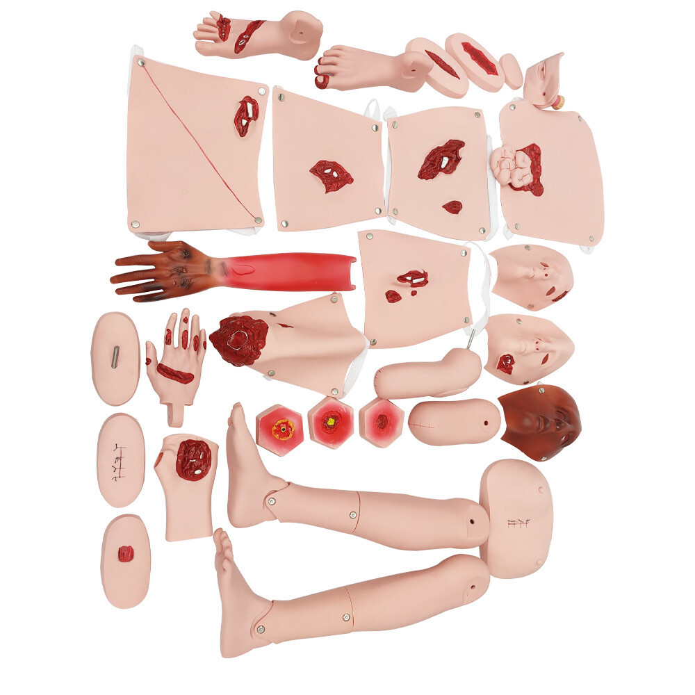 Patient Care Burn Teaching Model 24 Wound Modules Care NursingTraining Model