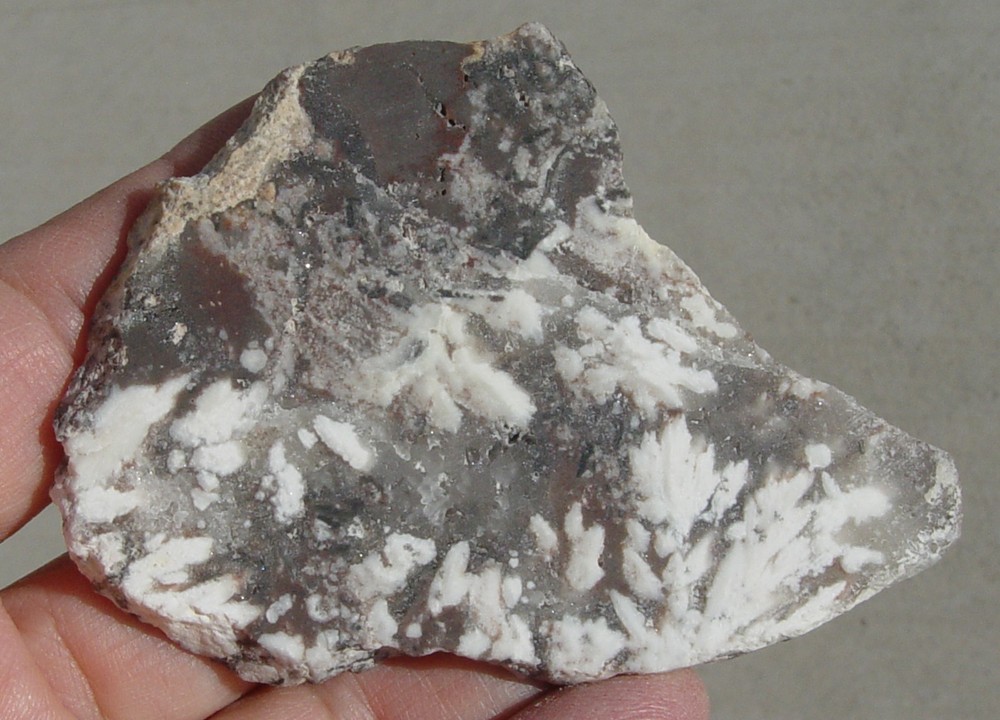 Snow Plume Agate Lapidary Slab T1405