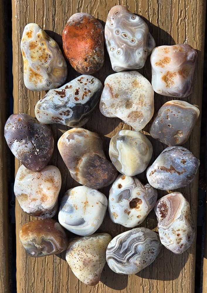 Botswana Agate Selects - WILD ONES - Rough, Natural, Not Polished A+ Grade