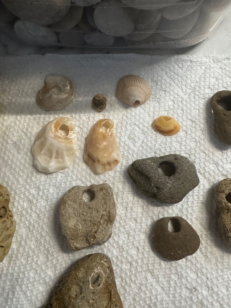hag stones