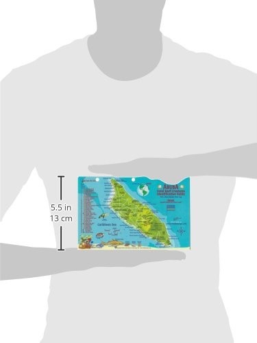 Aruba Dive Map & Reef Creatures Waterproof Fish Card