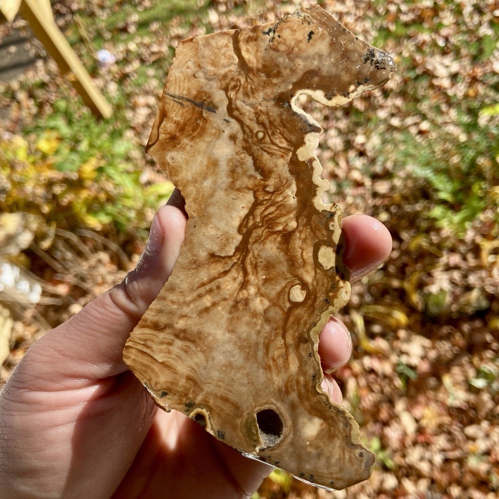 B Grade Biggs Jasper Rough Slab 3 Oz