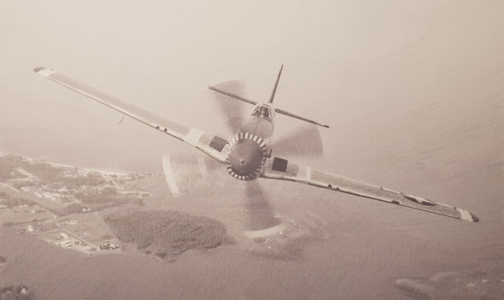 Mustang over the coast, pencil drawing