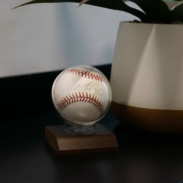 BCW Solid Real Hardwood Base and Acrylic Baseball Globe Holder Case