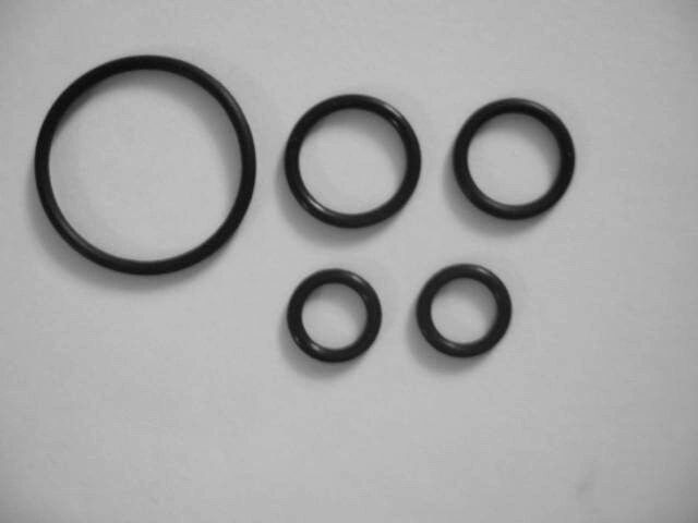 Fleck 5600 Injector Drain Module O-Ring Kit / R&S 011-021F / FDA NSF61 Material