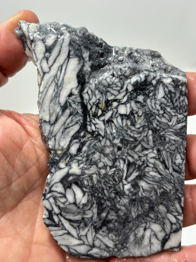 Rare Pinolith Slab Austria Cabbing Lapidary Combo Ship Avail
