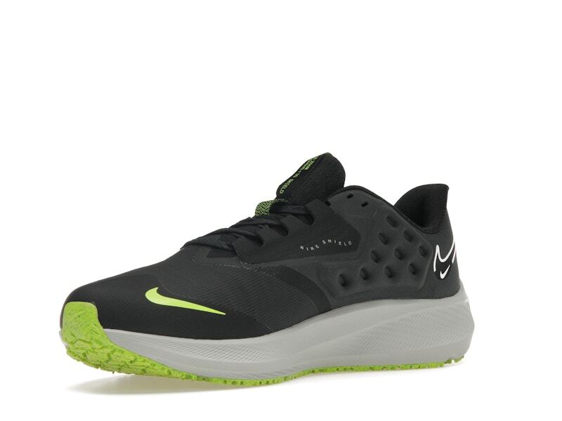 Nike Zoom Pegasus 39 Shield Black - DO7625-002