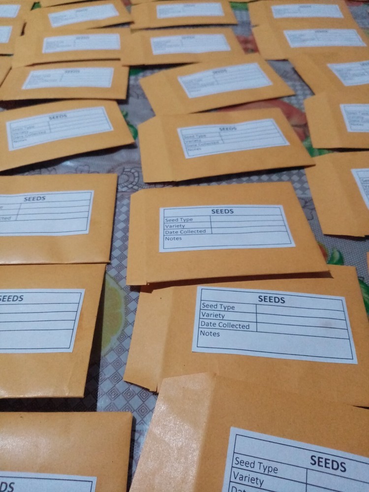 50Pcs Seed Saving Envelopes, Bulk 2.5x3 Empty 80gsm Packets Seeds container pack