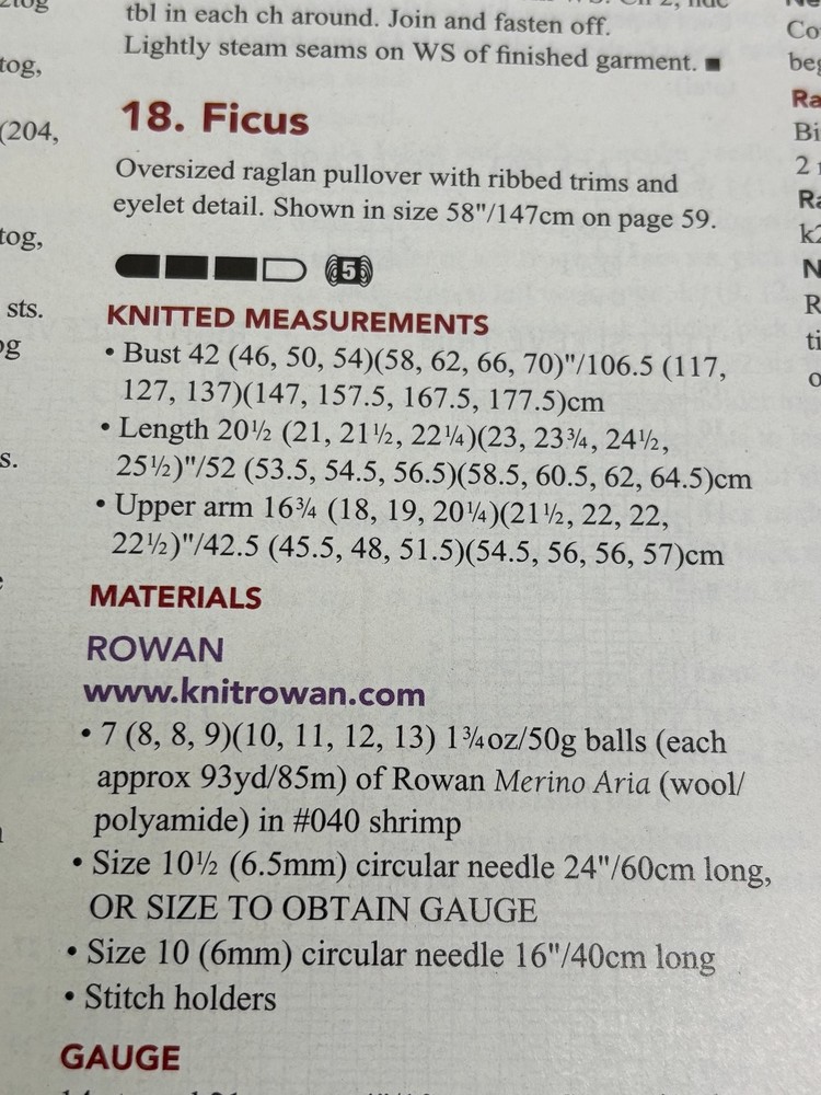 Ficus Oversized Raglan Pullover Knitting Pattern Magazine Pages