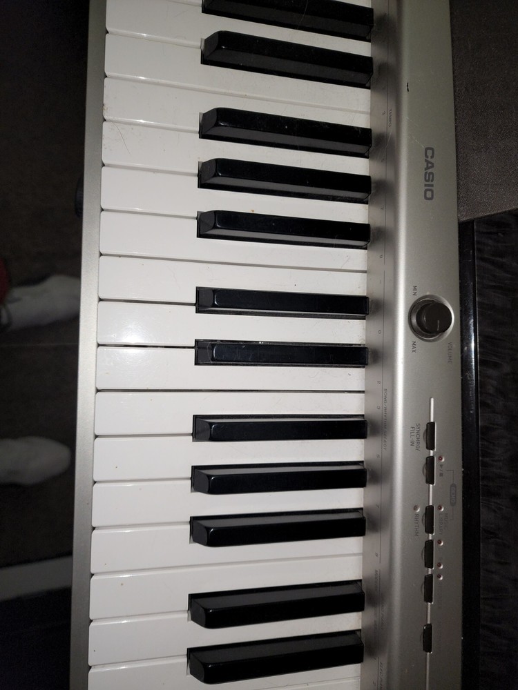 Casio Priva PX 120 & AODSX stand.