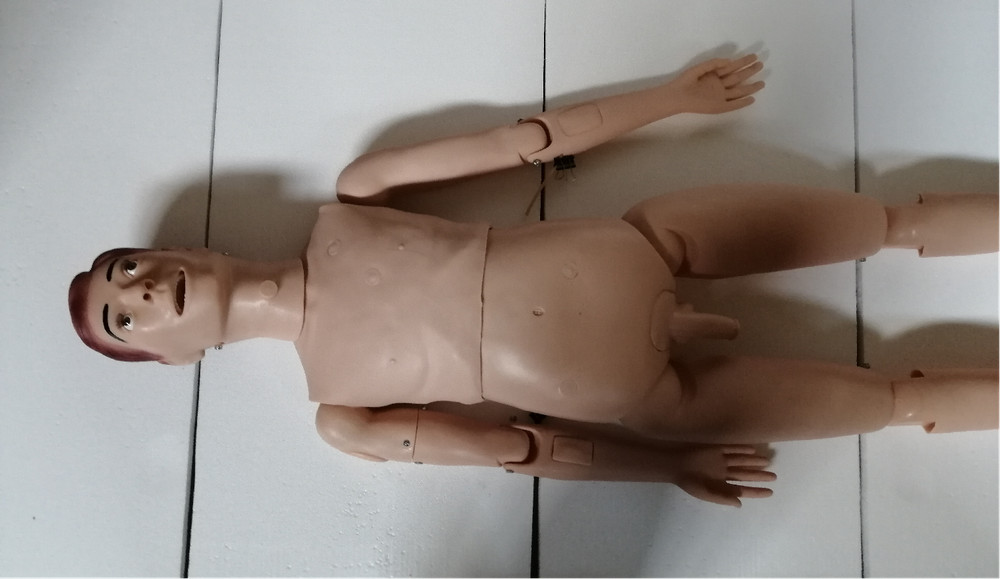 Patient Care Teaching Model Human Manikin MAN Medical Education Study Display