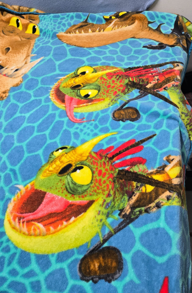 How To Train Your Dragon Throw Blanket from Original Release 2010