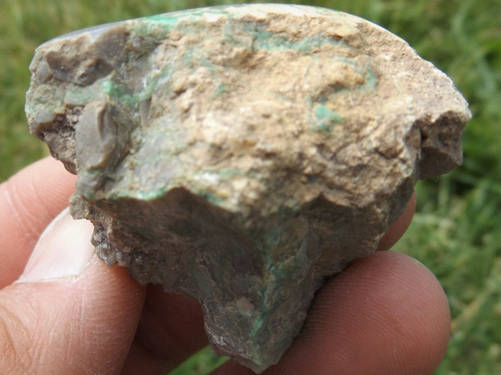 DIG-N-UTAH: VARISCITE UTAH POLISHED # L 11