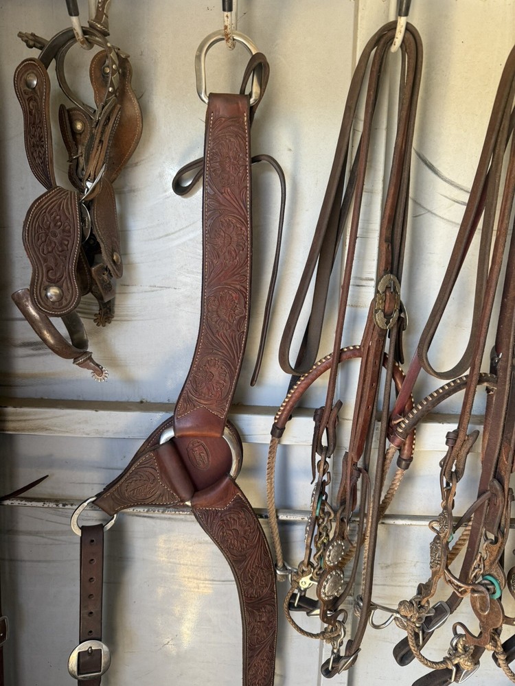 Horse tack