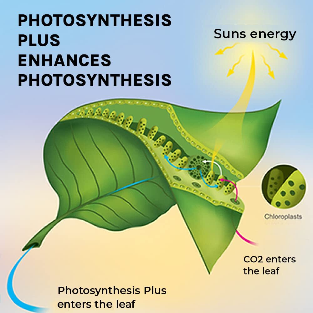 MICROBE Life HYDROPONICS Premium Photosynthesis Plus Liquid Nutrients for