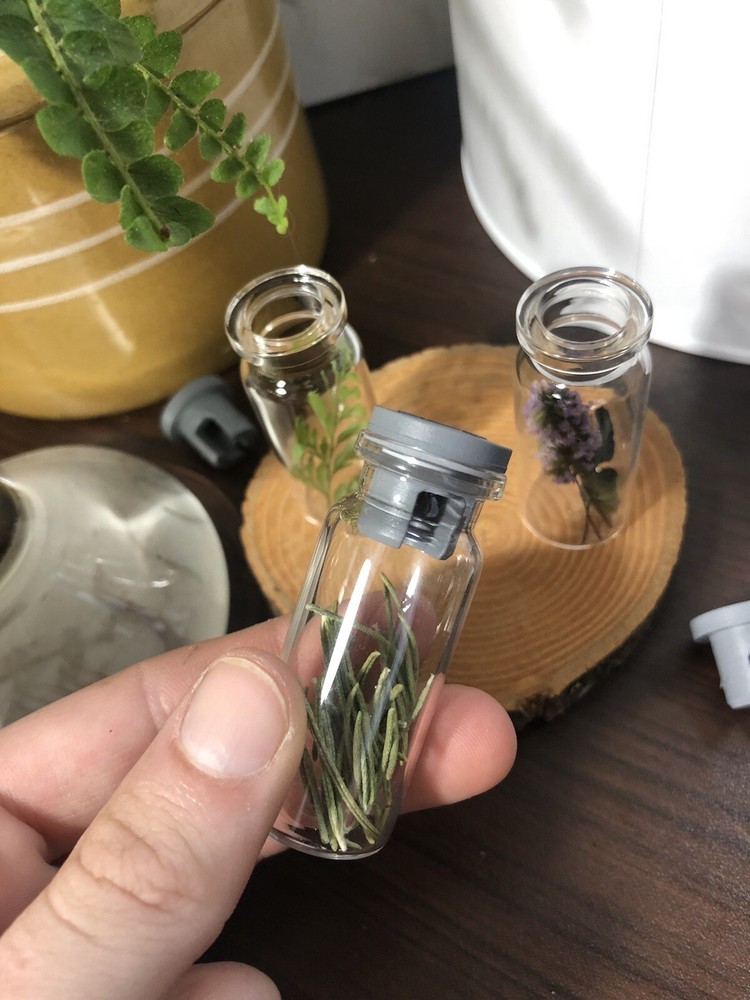 10ml Glass Vials (12 Pack)