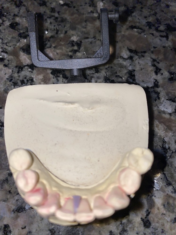 1PC 10 Tooth Dental teeth Model Typodont