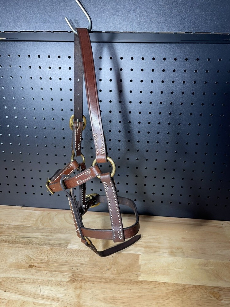 Leaders Foal Size Leather Halter!